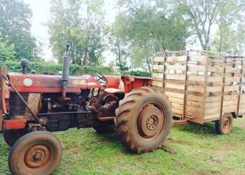 Intentaron robar ganado y fueron detenidos gracias a las cámaras de seguridad