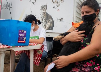 Dónde estará el móvil del IMuSA esta semana en Posadas