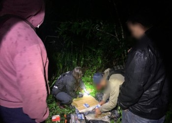 Incautaron marihuana en Misiones valuada en 31 millones de pesos