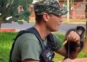 Devolvieron a su hábitat natural a un mono caí y a un erizo