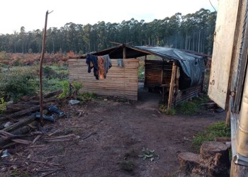 Rescataron a catorce trabajadores misioneros que eran explotados en una forestación