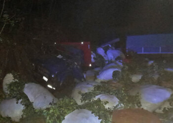 Choque entre dos camiones dejó un menor herido