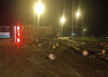 Un camión que transportaba rollos pinos volcó sobre la ruta 12