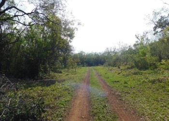 Origen y Consumo: Certificación Natural