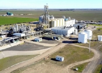 Destacan el valor ambiental de los biocombustibles