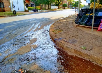 Pidieron elevar a juicio el crimen del chipero de Parque Adam