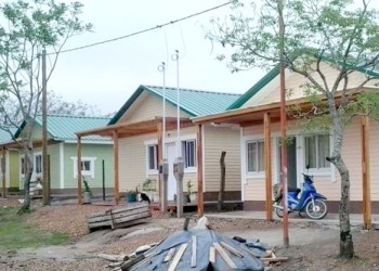 Madereros contra Alberto Fernández: “Tiene que conocer más el interior de la Argentina”