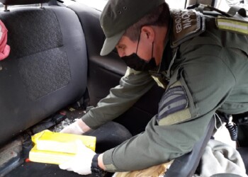 Incautan cocaína por más de 15 millones de pesos en Posadas