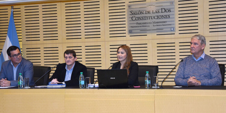 LANZAMIENTO. Arroyos, Safrán, Rojas Decut y Sedoff.