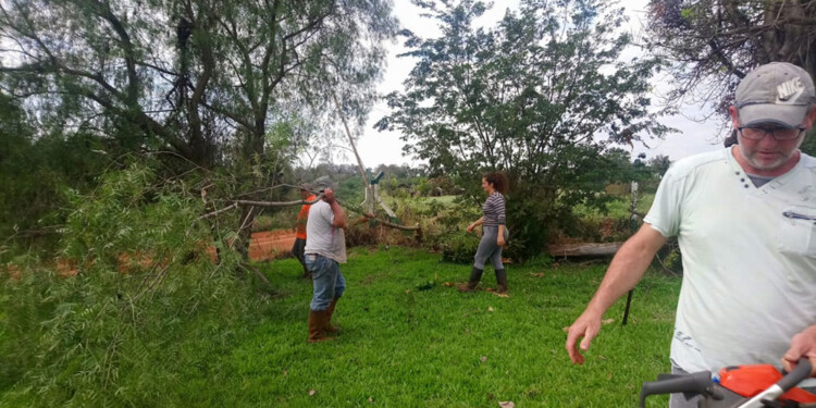 EN ACCIÓN. Los propios padres se encargaron de desmalezar el predio.