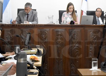 “Parecían maullidos cada vez más fuertes, entré al baldío y la vi con la rama incrustada”