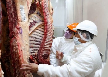 Peso de faena, IVA y troceo: los reclamos de frigoríficos a Bahillo