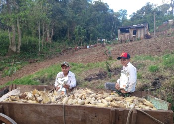 La Fundación Pozo Azul distribuyó alimentos a familias de zonas rurales