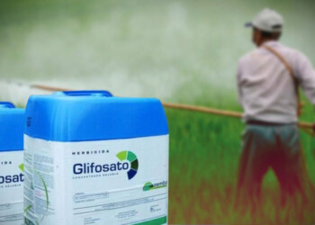 Ingenieros agrónomos también piden más tiempo para eliminar el glifosato