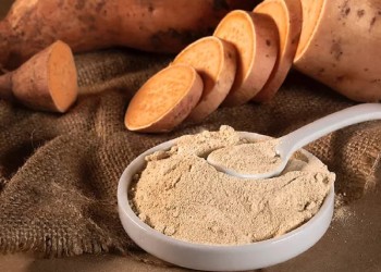 Producirán harina de batata apta para celíacos