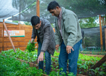 La cocina centralizada del barrio Santa Rita contará con una huerta