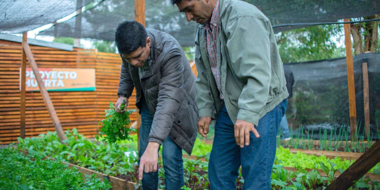 SOBERANÍA ALIMENTARIA. Este espacio es el primero de varios.