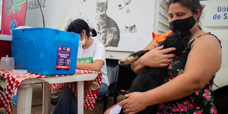 POSADAS. El quirófano móvil realiza castraciones con turno previo.