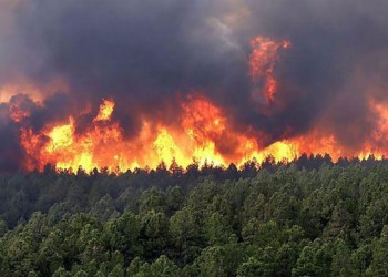 Estudian la frecuencia histórica mensual de incendios por regiones
