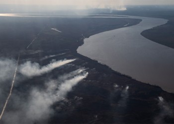 El Gobierno analiza “iniciar acciones legales por atentado contra la naturaleza”