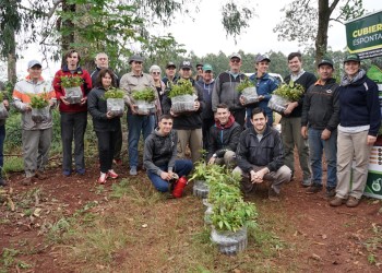 Recuperar productividad en un suelo con 60 años de uso