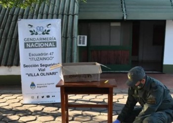 Descubren más de 20 kilos de marihuana en encomiendas salidas de Eldorado