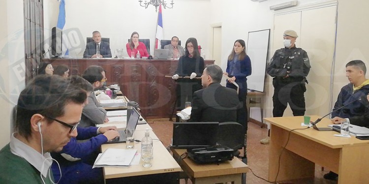 EVIDENCIA ANTE EL TRIBUNAL. La rama con la que Irma Da Rocha fue atacada fue expuesta ayer durante la declaración del médico forense del STJ, Carlos Wolheim.