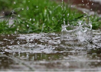 El agua de lluvia en la tierra seca