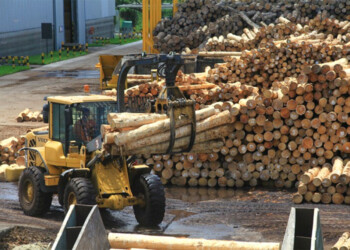 Empresarios solicitan medidas económicas por “desventajas” que golpean en Misiones