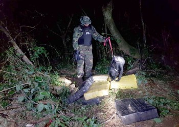 Con la ayuda de Kyra, prefectos incautan carga de marihuana en Montecarlo