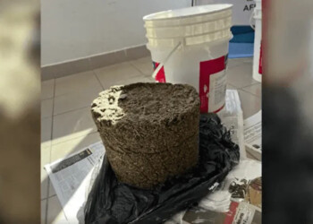 Secuestran marihuana escondida en baldes de pintura en Misiones