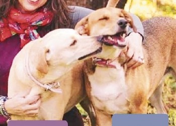 El universo te regala amigos