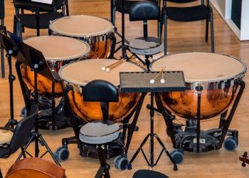 Insólito: este domingo es el Día Mundial de la Música Extraña