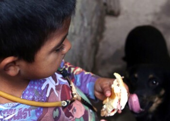 El 11% de los niños de hogares que reciben AUH y Alimentar debieron saltear una comida