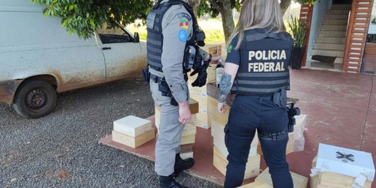 OPERATIVO EN TIRADENTES. La Policía Federal ejecutó la semana pasada varios procedimientos para detectar cargas.