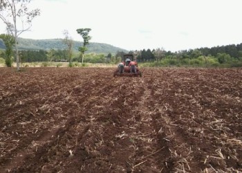 Comenzó con algunas complicaciones la siembra de maíz y de soja en Misiones