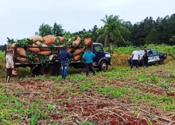 Se hizo pasar por el dueño de un campo e intentó robar hojas de yerba