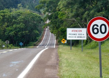 En una semana otros once animales fueron víctimas del tránsito en el Parque Nacional Iguazú