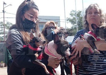 San Roque fue una fiesta con la bendición de decenas de mascotas