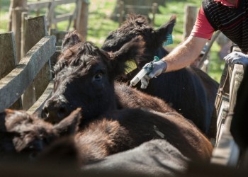 Bruera: “En muy positivo que venga el Secretario de Agricultura”