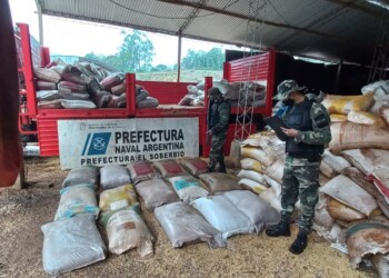 Secuestran más 9 toneladas de soja que pretendían cruzar de Misiones a Brasil