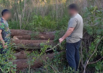 Rescataron madera nativa que había sido robada y atraparon a un cuatrero