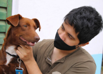 El IMuSA realizó 5.500 intervenciones gratuitas durante el último trimestre