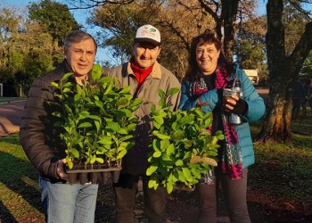 Andresito tendrá la avenida yerbatera más larga del mundo