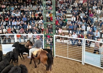 Éxito rotundo en la Fiesta del Agricultor: se vendió toda la hacienda a precios récord