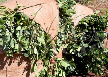 Insisten en que se retrotraiga la suba de la corresponsabilidad gremial