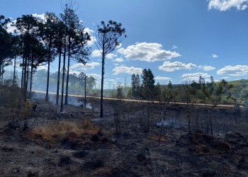 El sur y el centro de Misiones, con muy alto índice de peligro de incendios