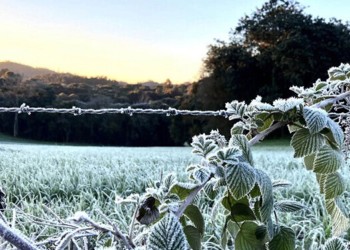 Advierten el riesgo de heladas débiles y escarchas durante el finde en Misiones