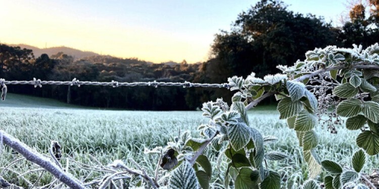 Según el agrometeorólogo Olinuk, las bajas temperaturas son necesarias para el proceso de reposo de algunas plantaciones y frutales. (Foto temática)