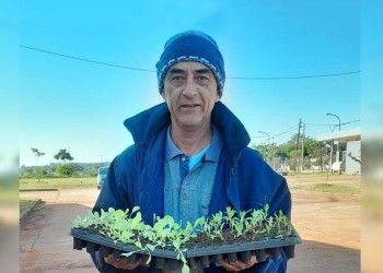 Crecen las huertas urbanas en la ciudad de Posadas